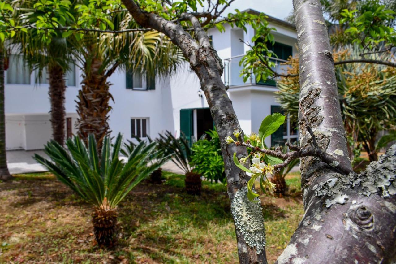 Casa Do Cantinho Do Muro São Vicente Exteriör bild